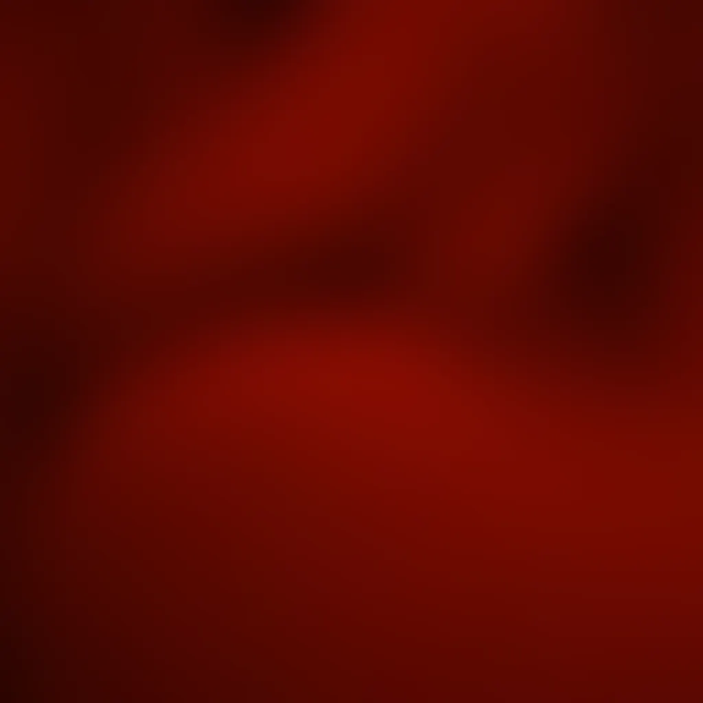 Slide image 3