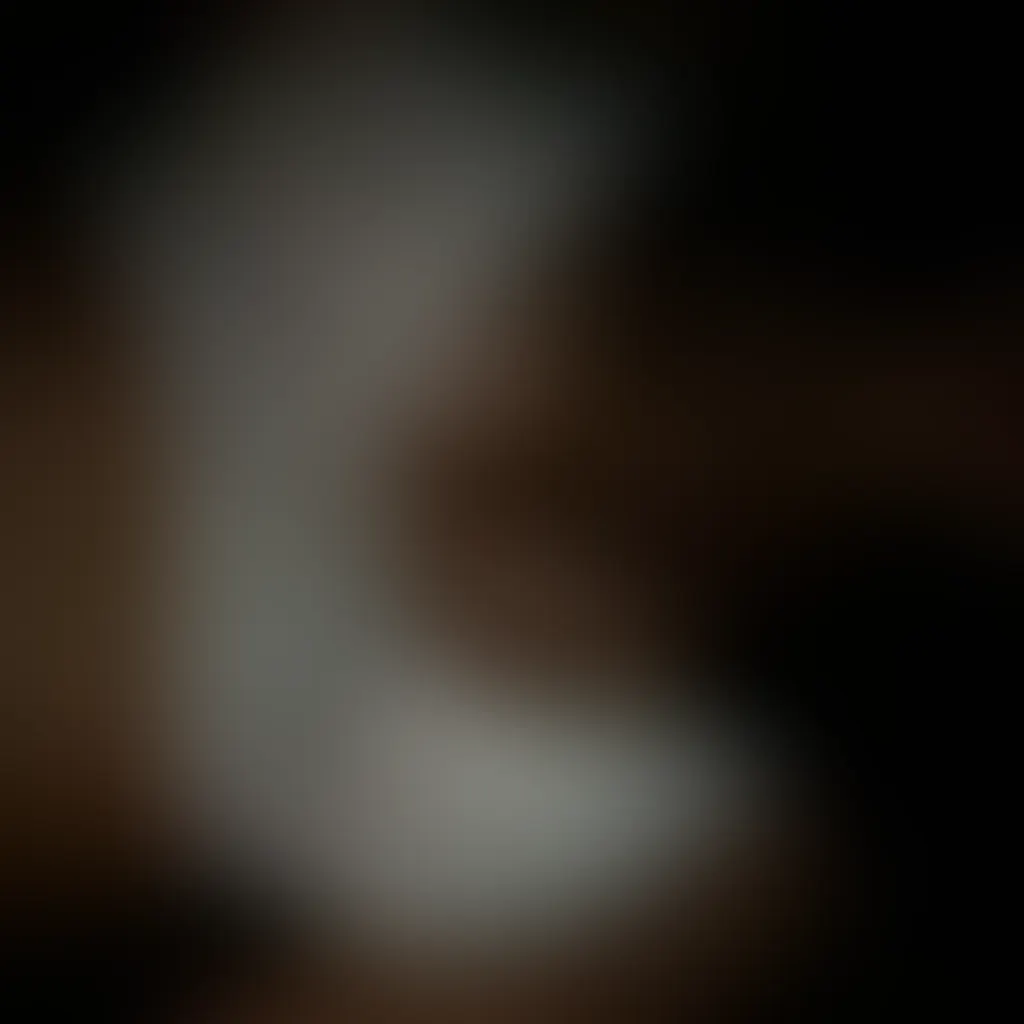 Slide image 4
