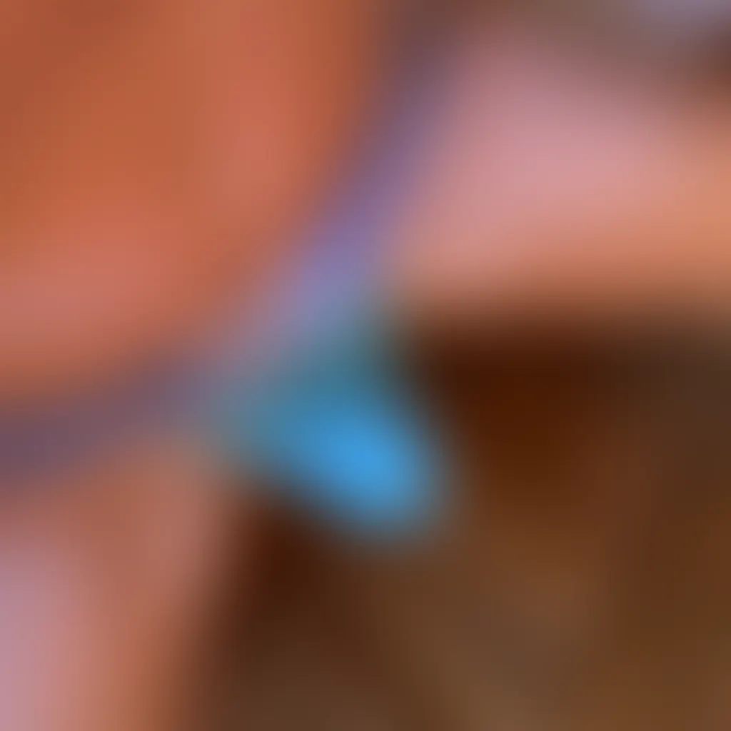 Slide image 4