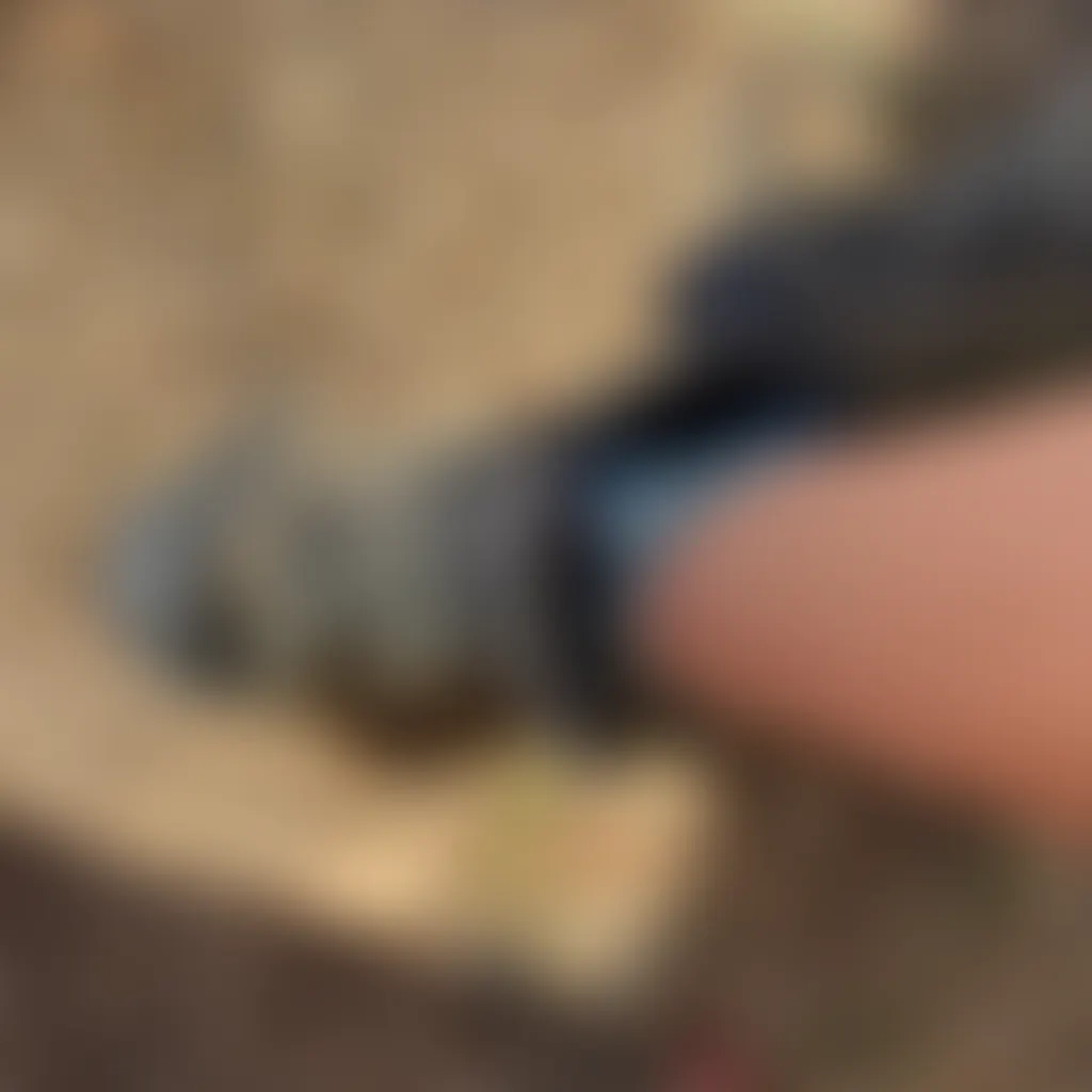 Slide image 2