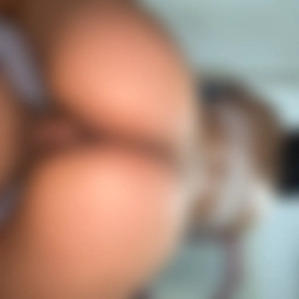 Slide image 4