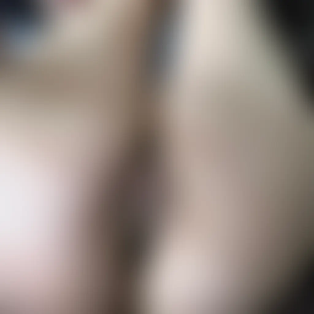 Slide image 2