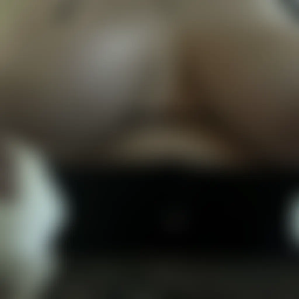 Slide image 3
