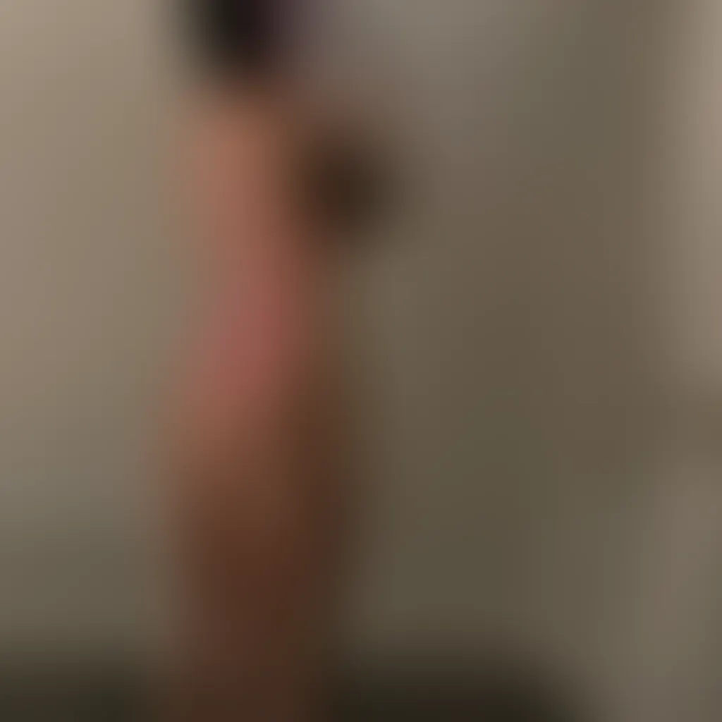 Slide image 4