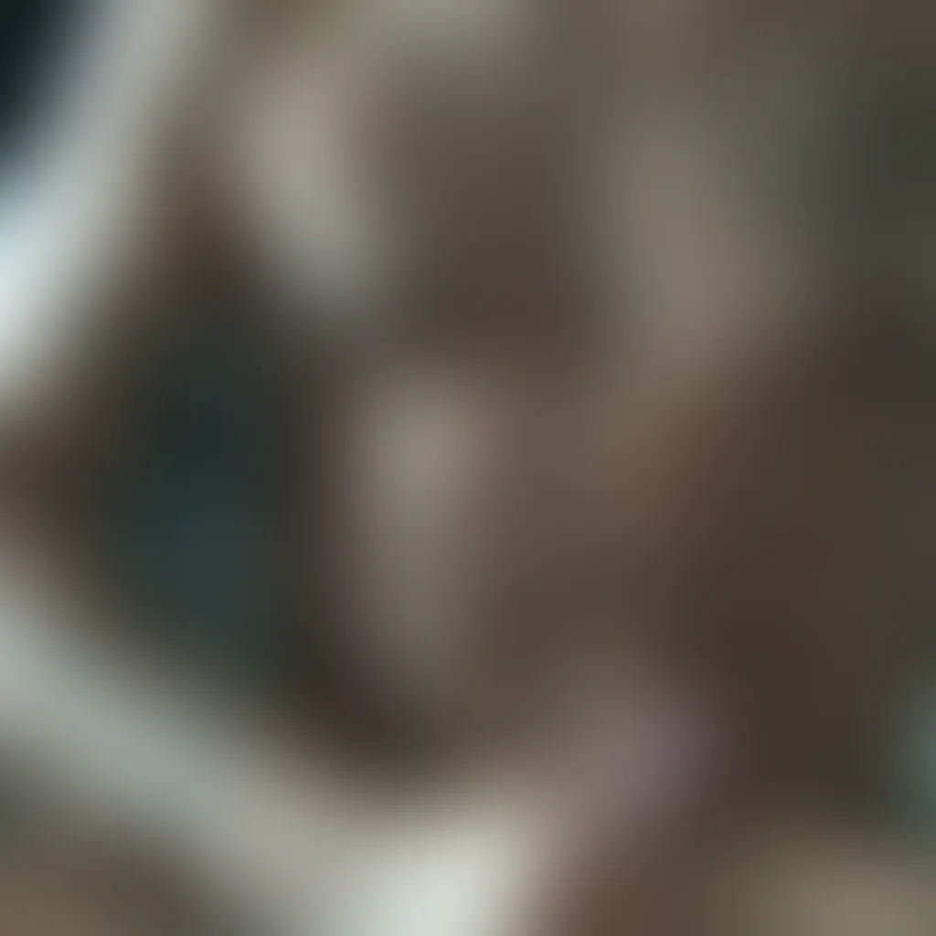 Slide image 1