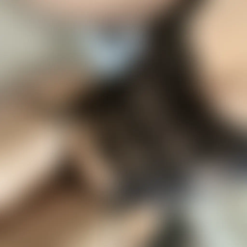 Slide image 3