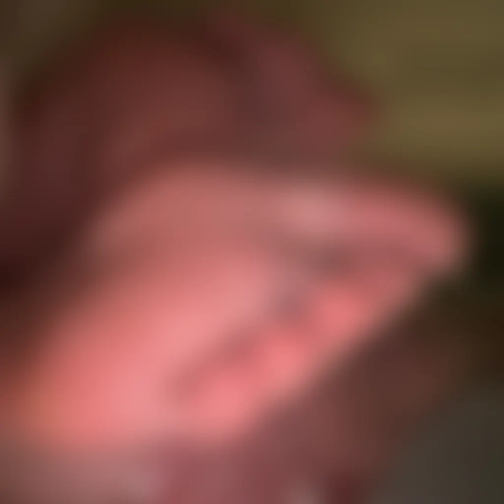 Slide image 1