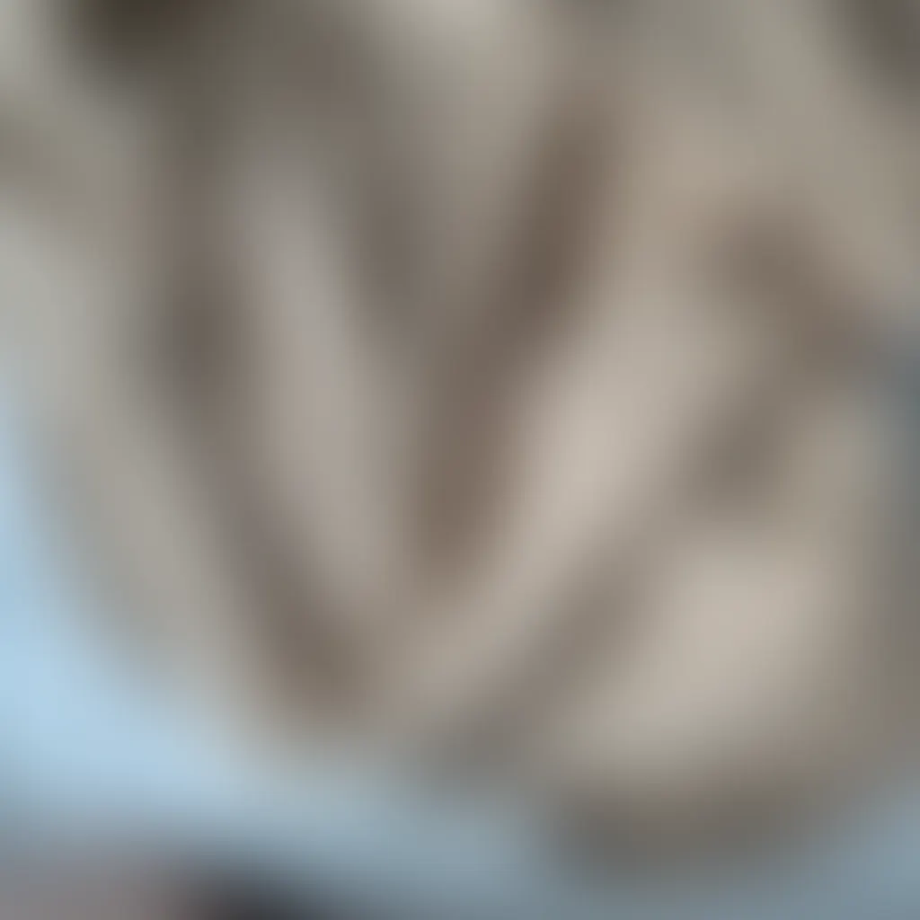 Slide image 1