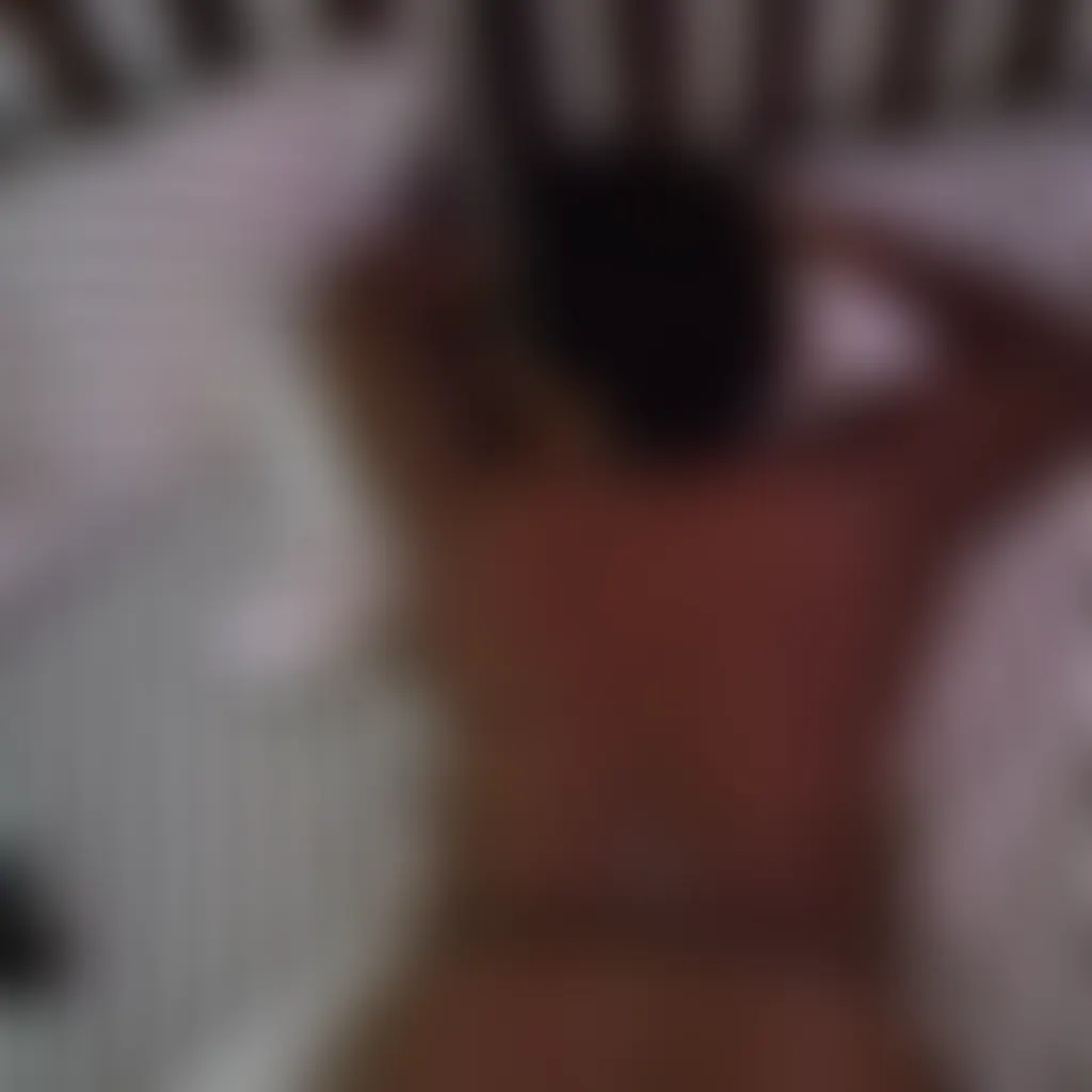 Slide image 3