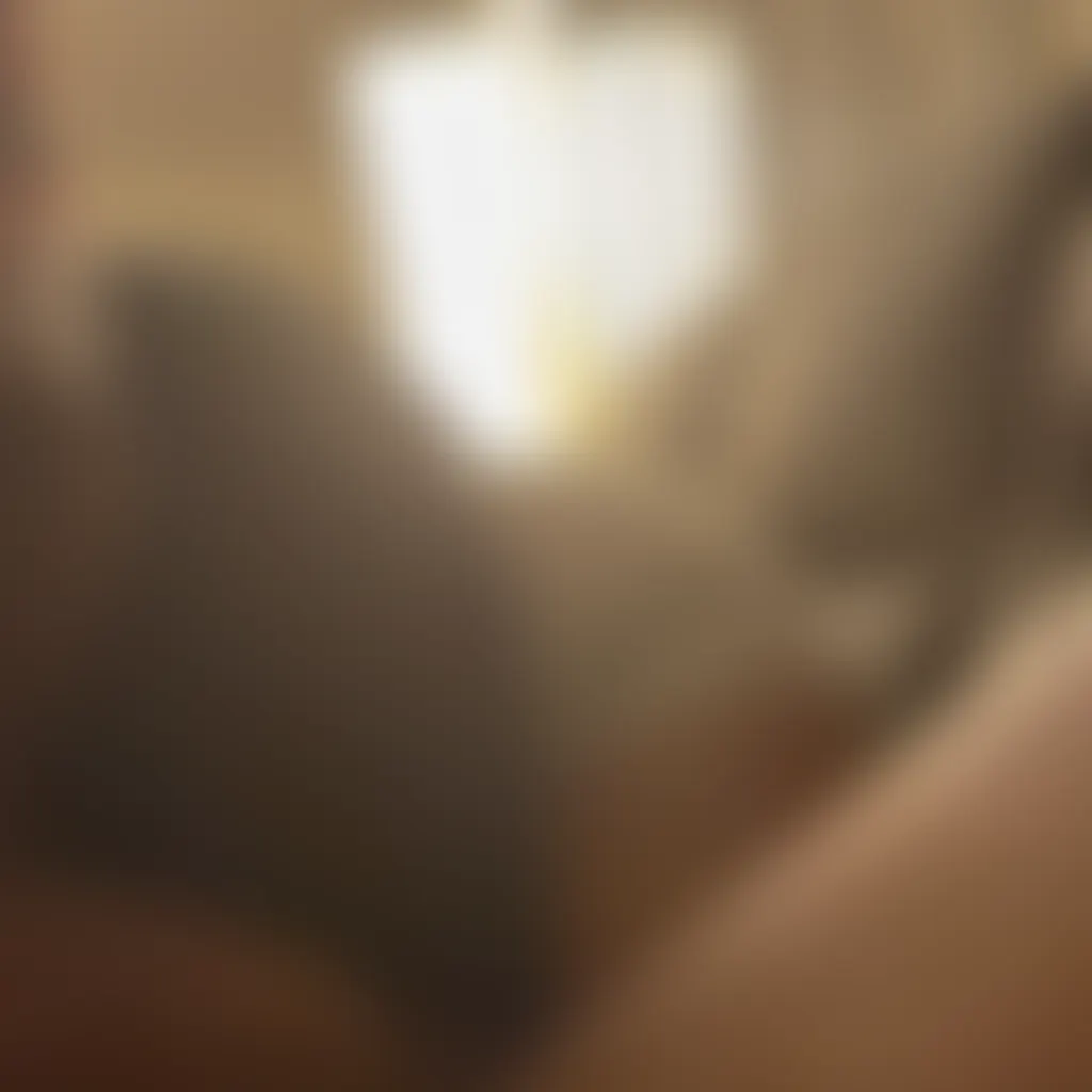 Slide image 1