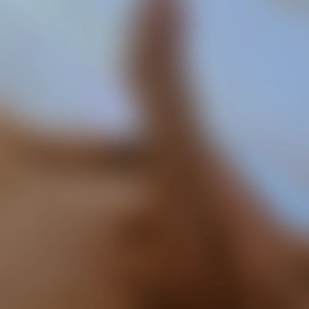 Slide image 2