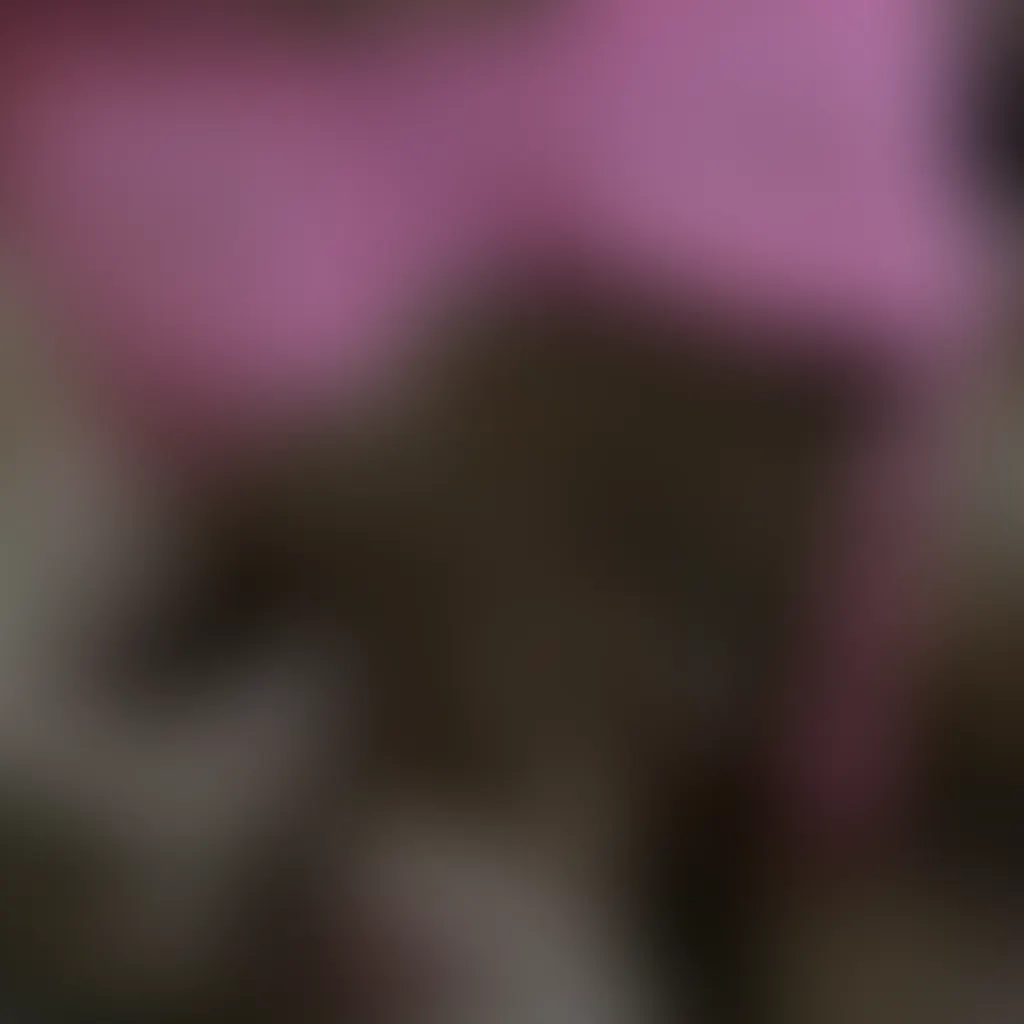 Slide image 6