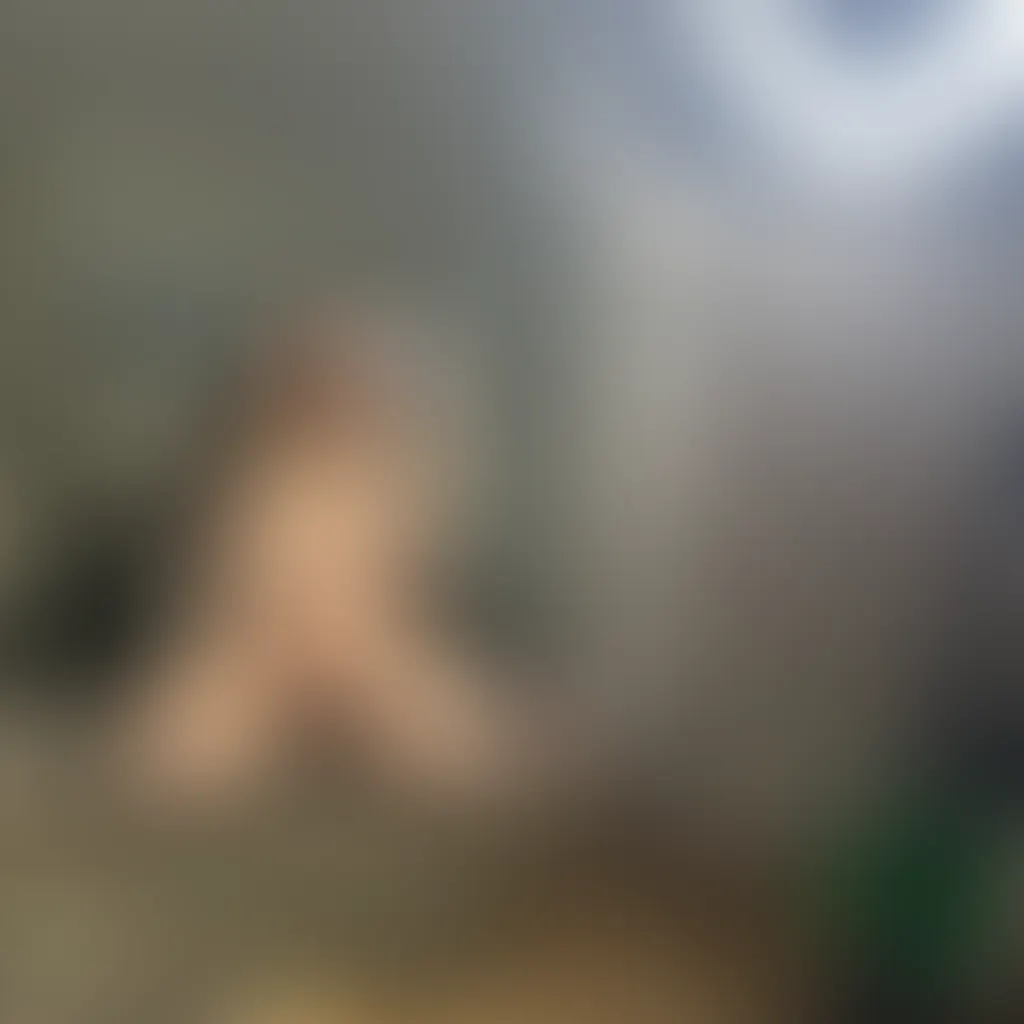 Slide image 2