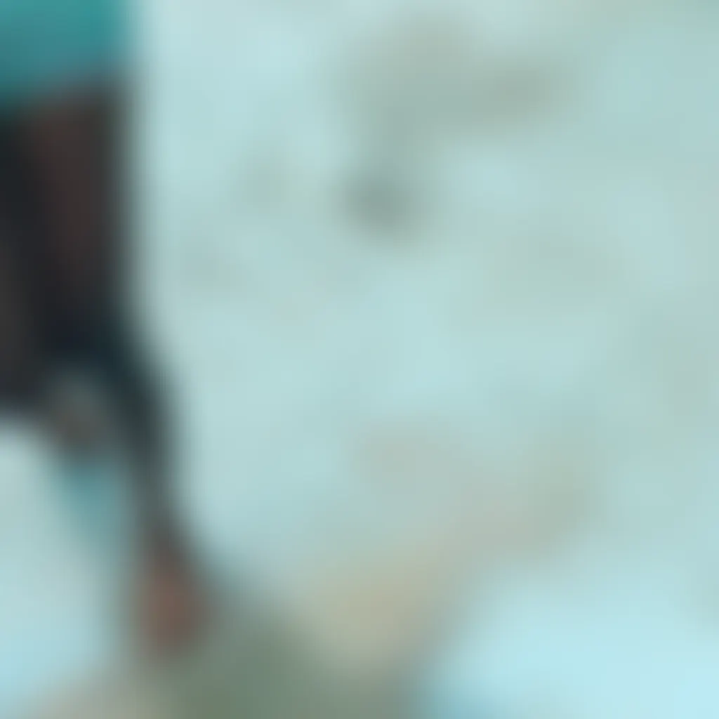 Slide image 2