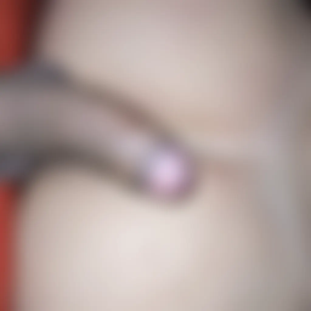 Slide image 5