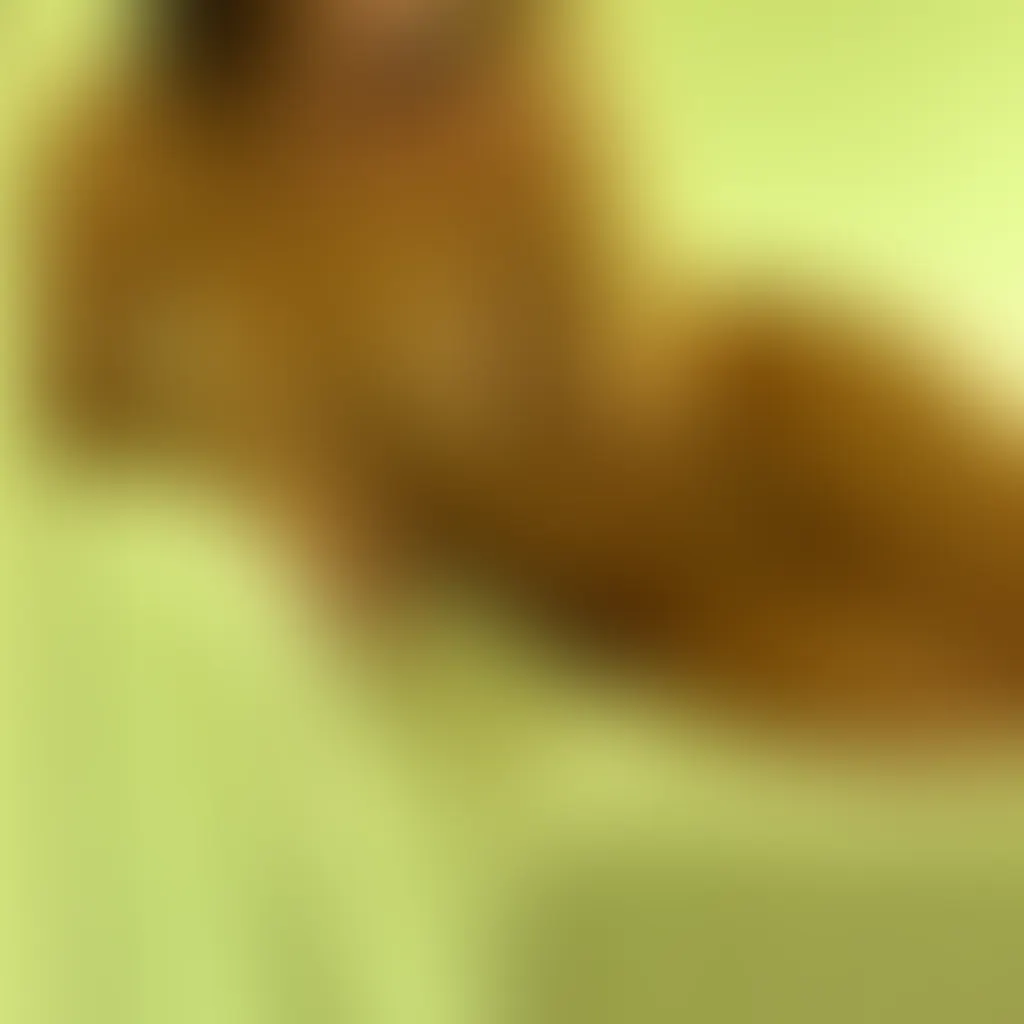 Slide image 2