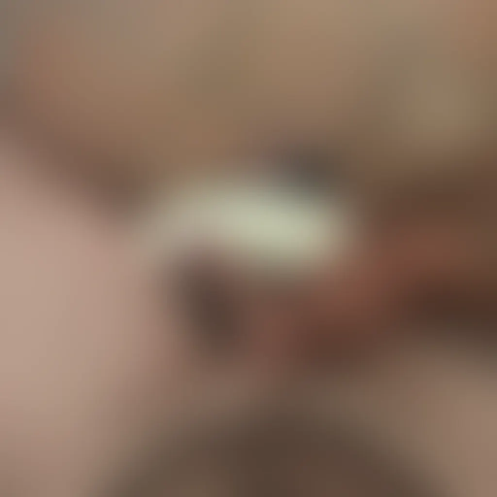 Slide image 2