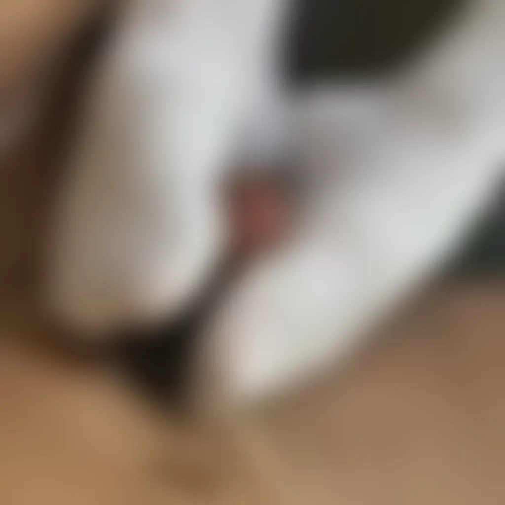 Slide image 1