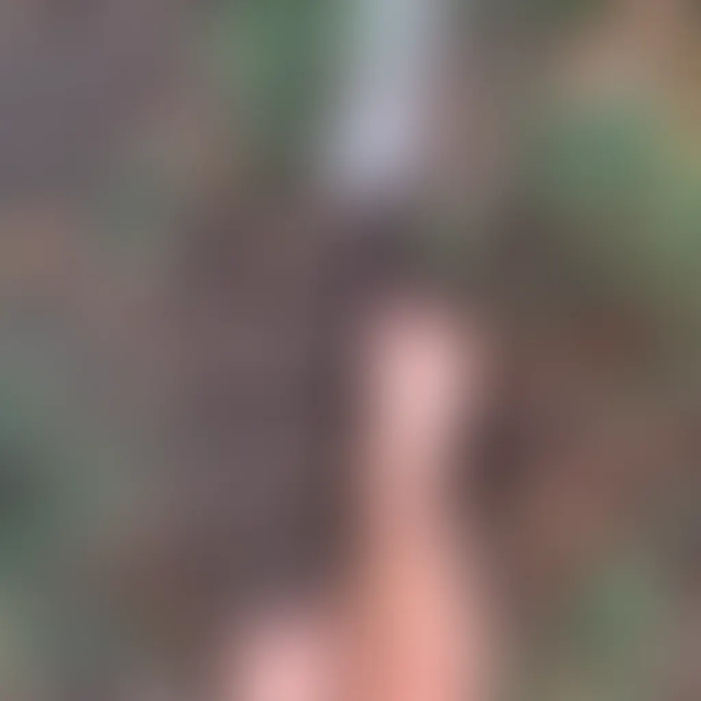 Slide image 2
