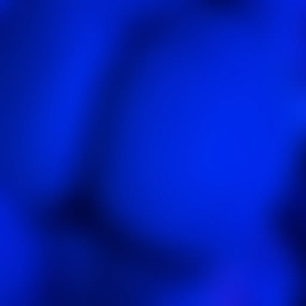 Slide image 2