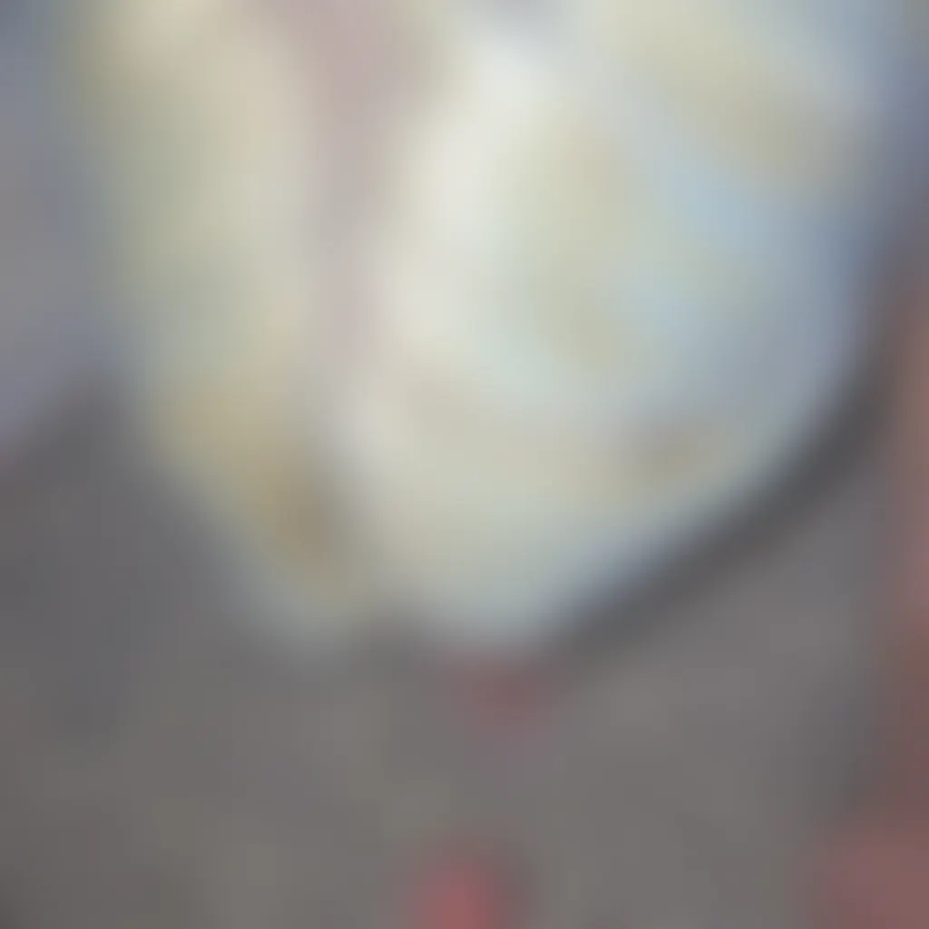 Slide image 4