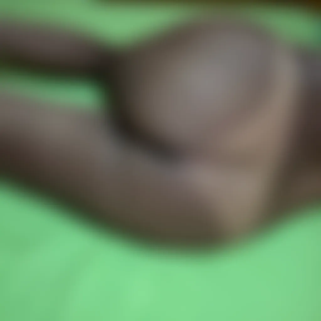 Slide image 1