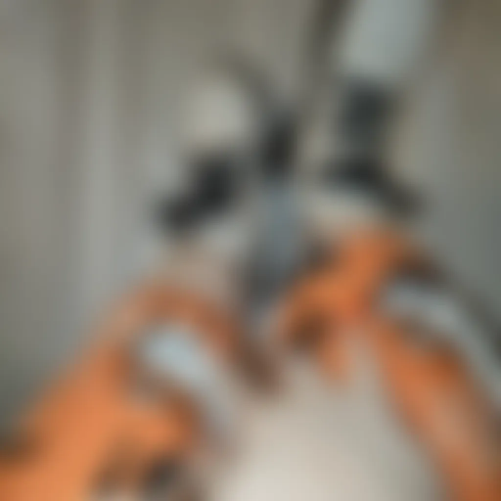 Slide image 2