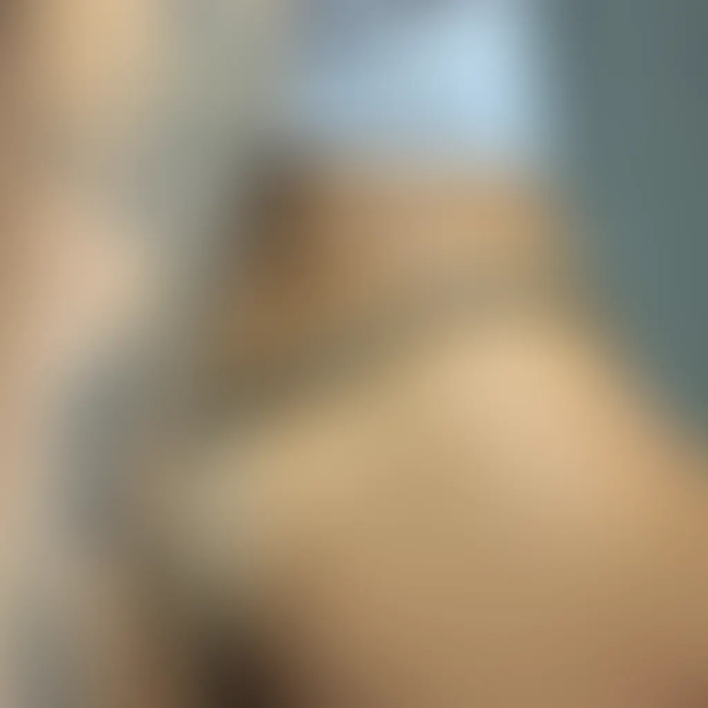 Slide image 4
