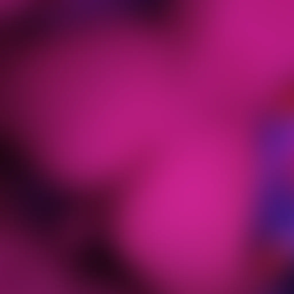 Slide image 2