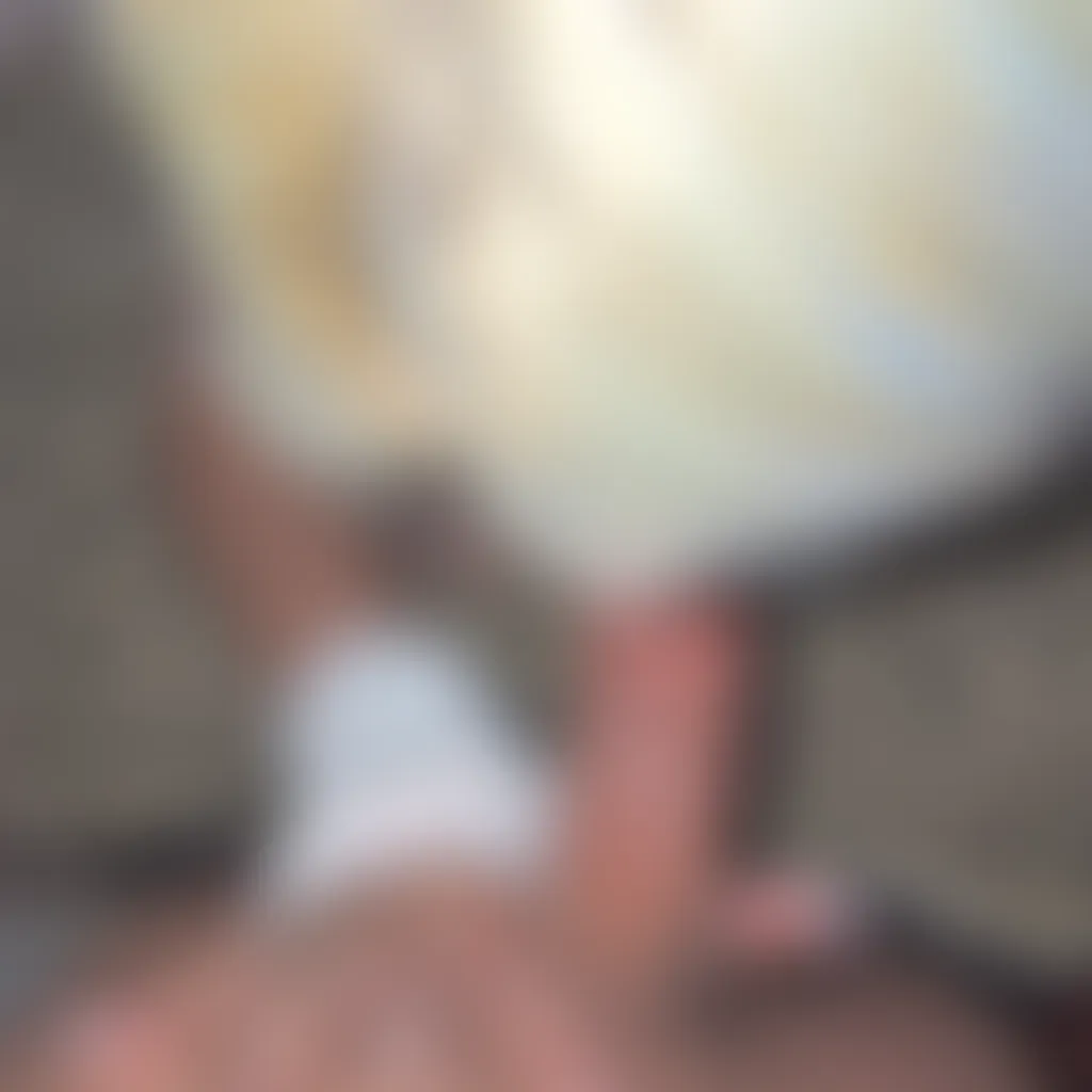 Slide image 7