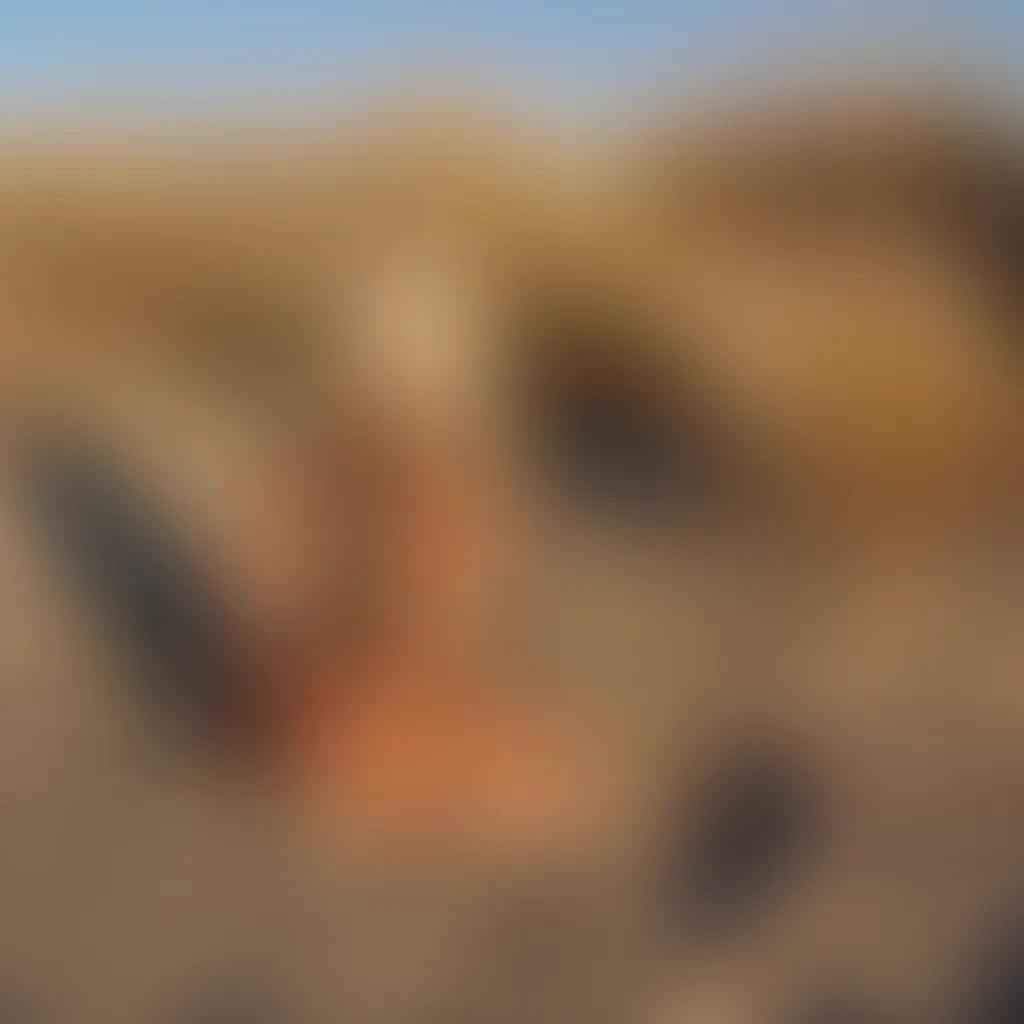 Slide image 10
