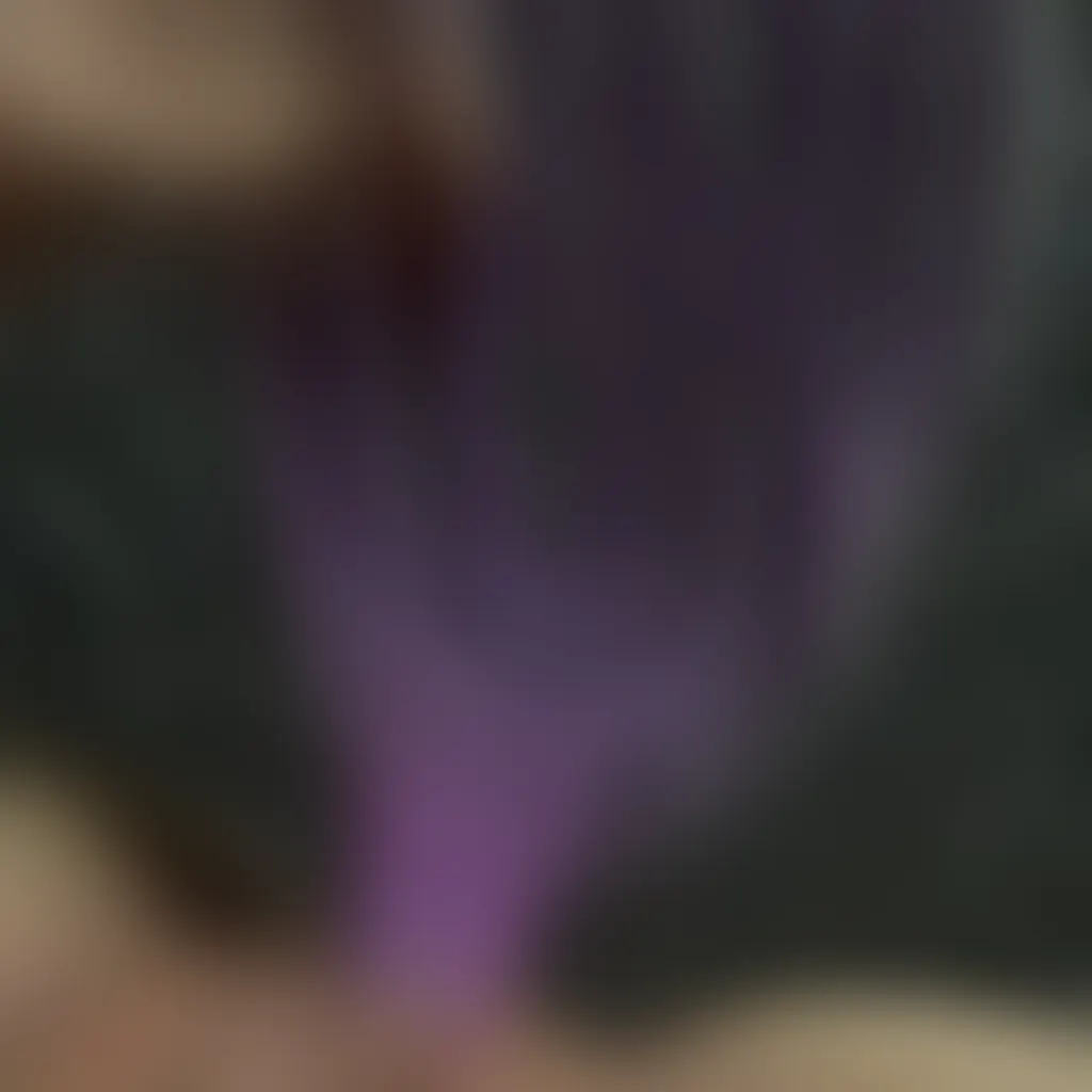 Slide image 3