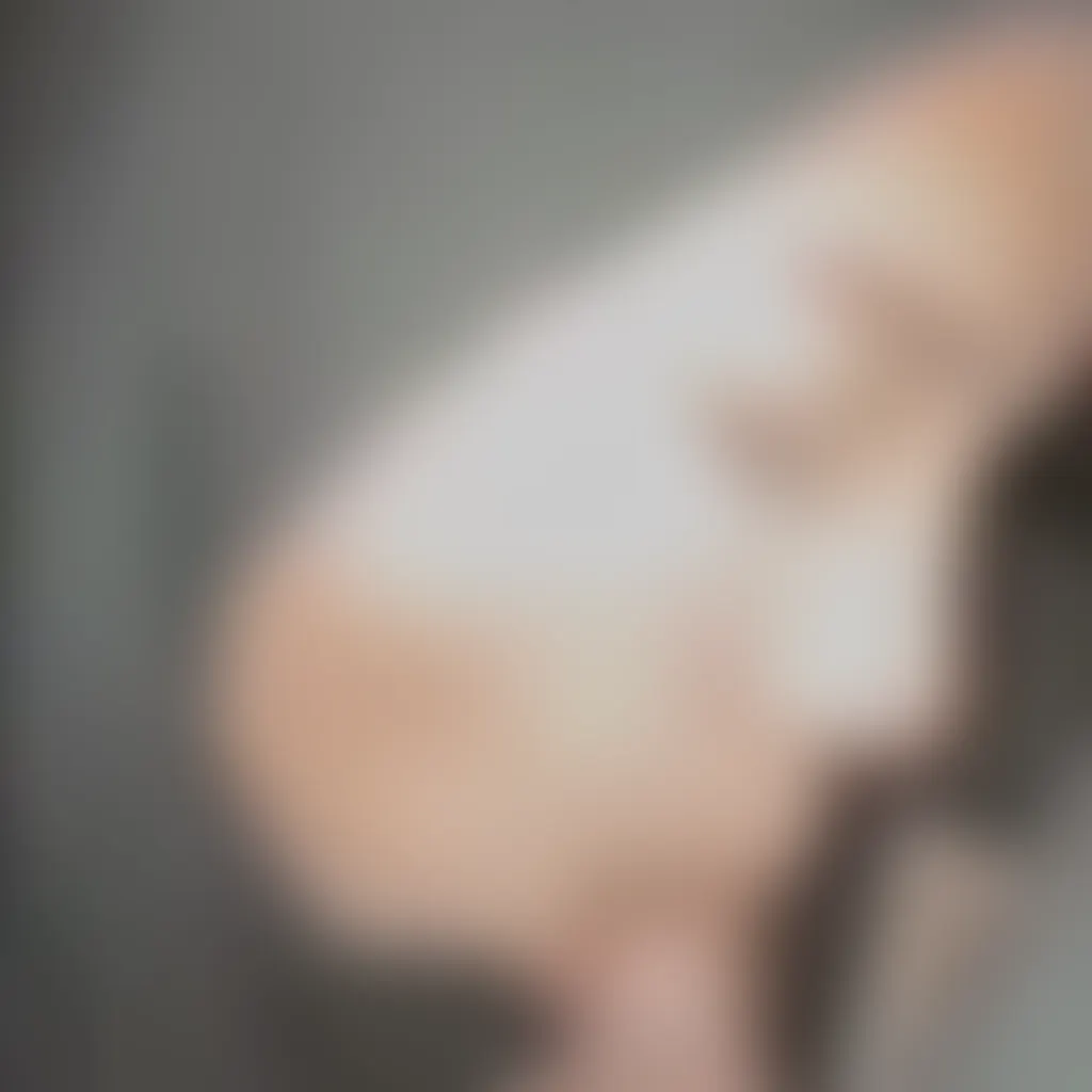 Slide image 3
