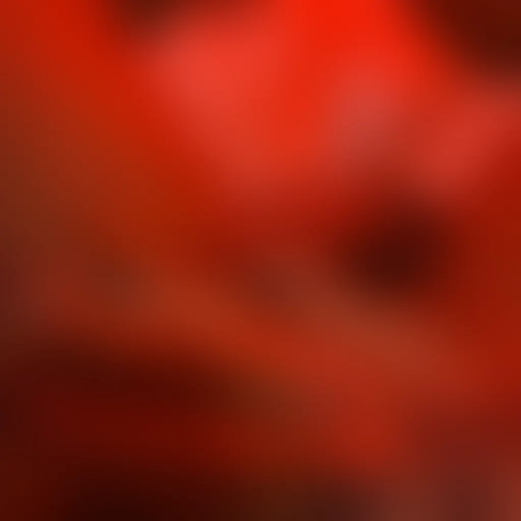 Slide image 3