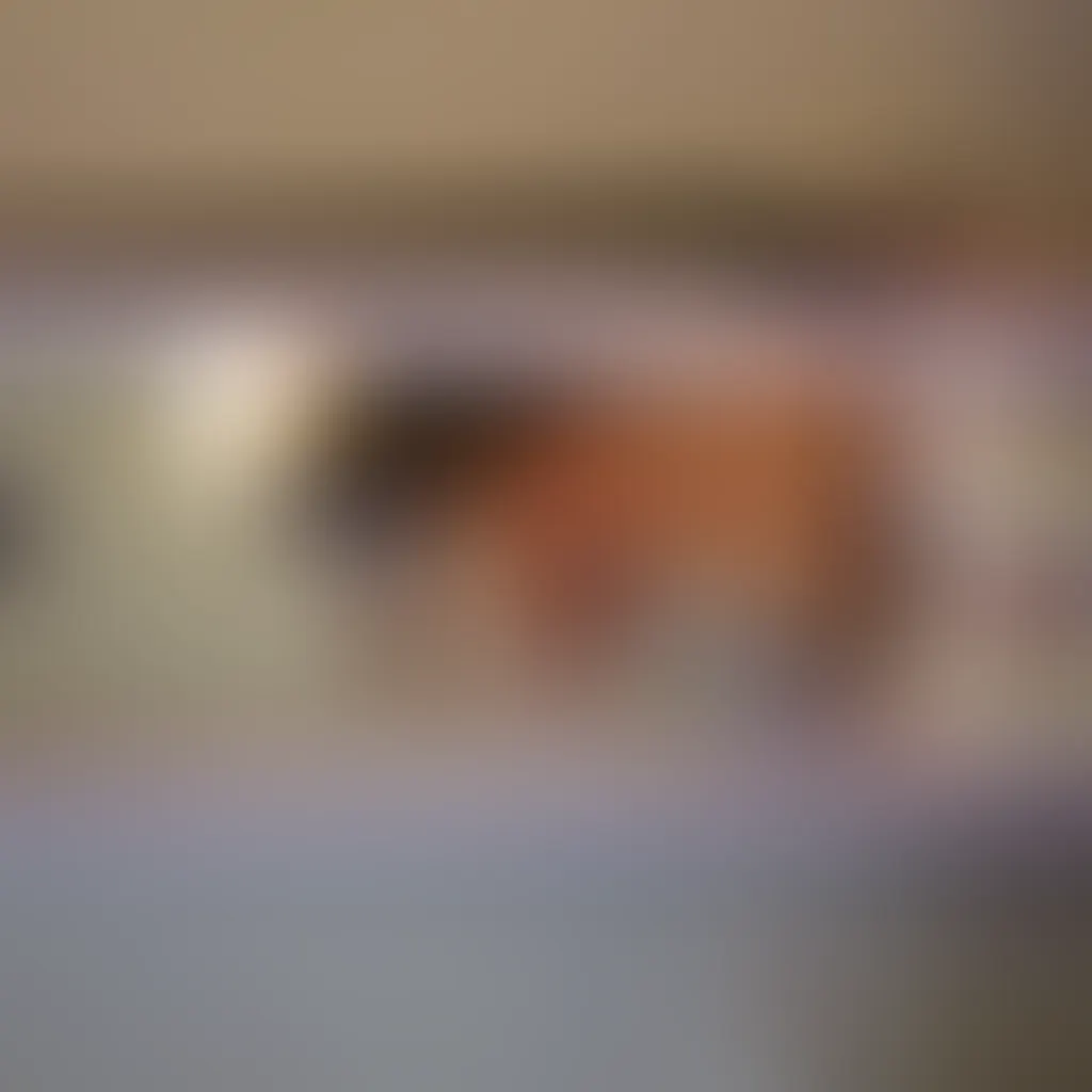 Slide image 3