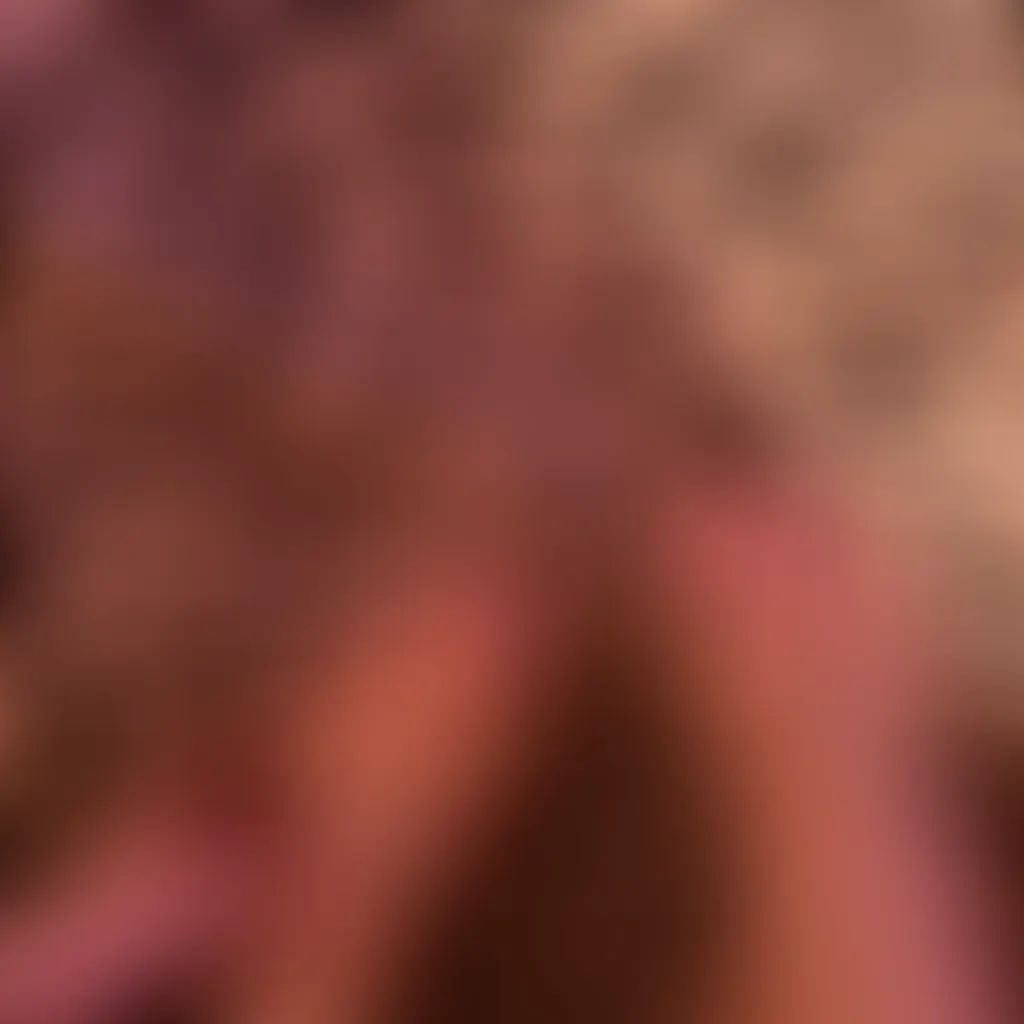 Slide image 2