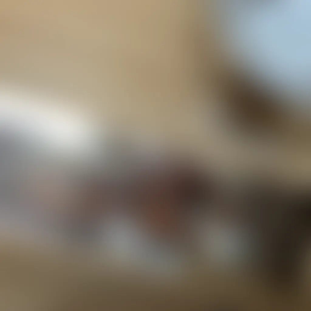 Slide image 2
