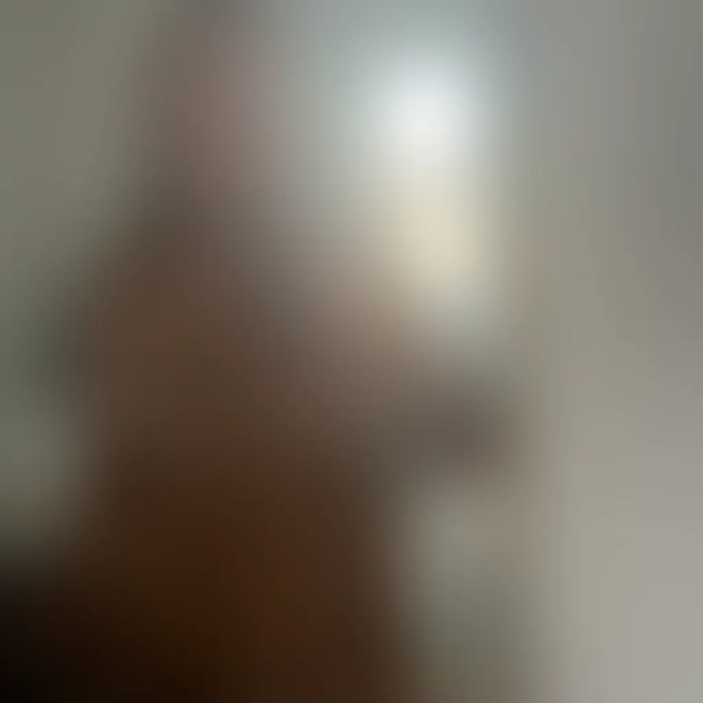 Slide image 6
