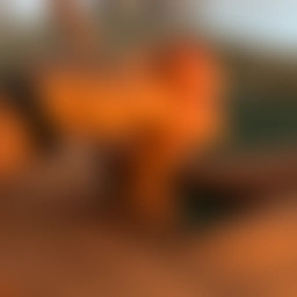 Slide image 2