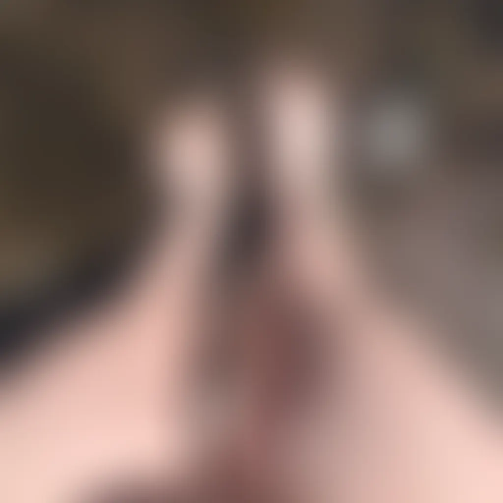 Slide image 2