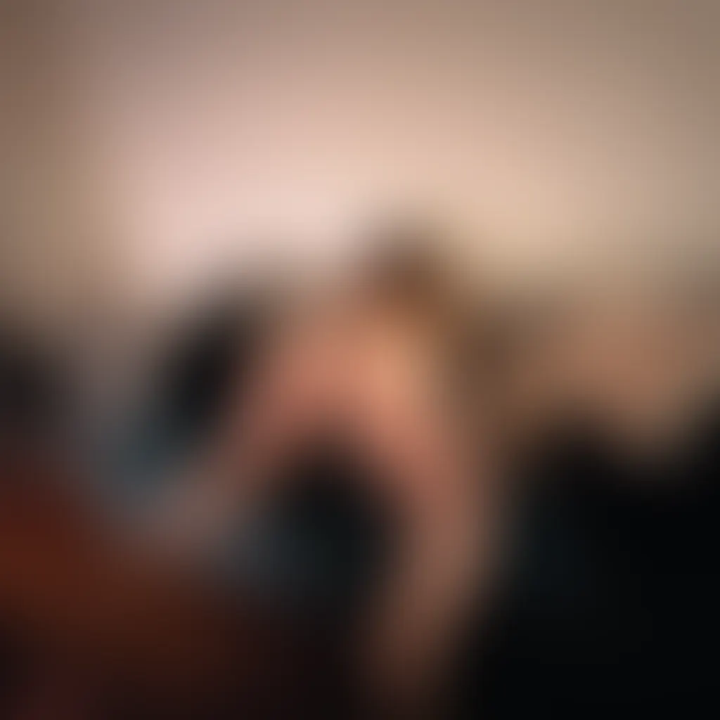 Slide image 8