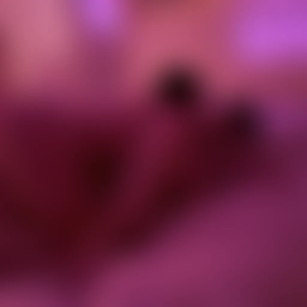 Slide image 2