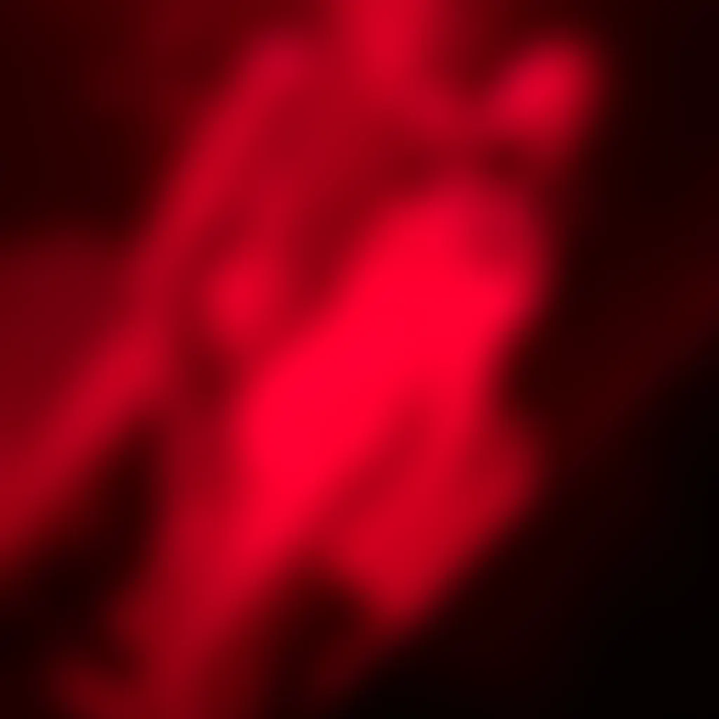 Slide image 5