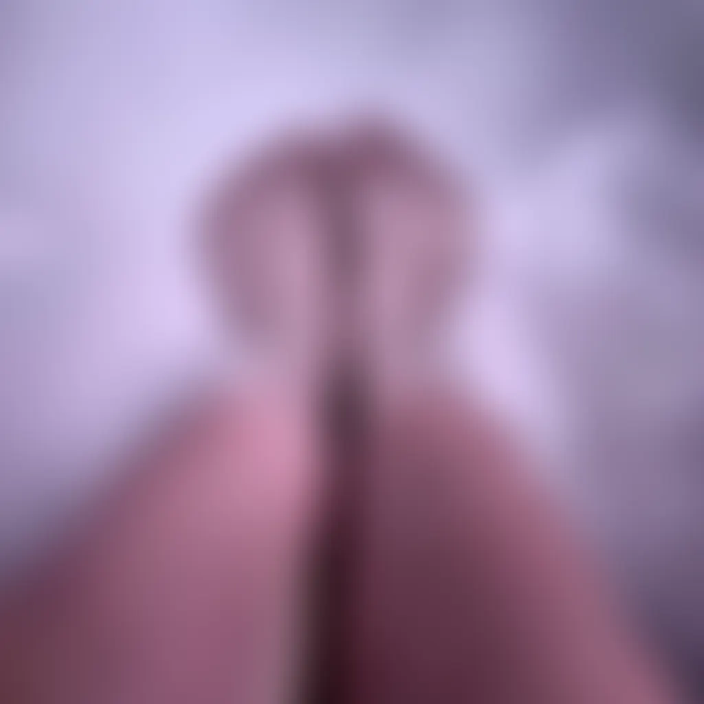 Slide image 2
