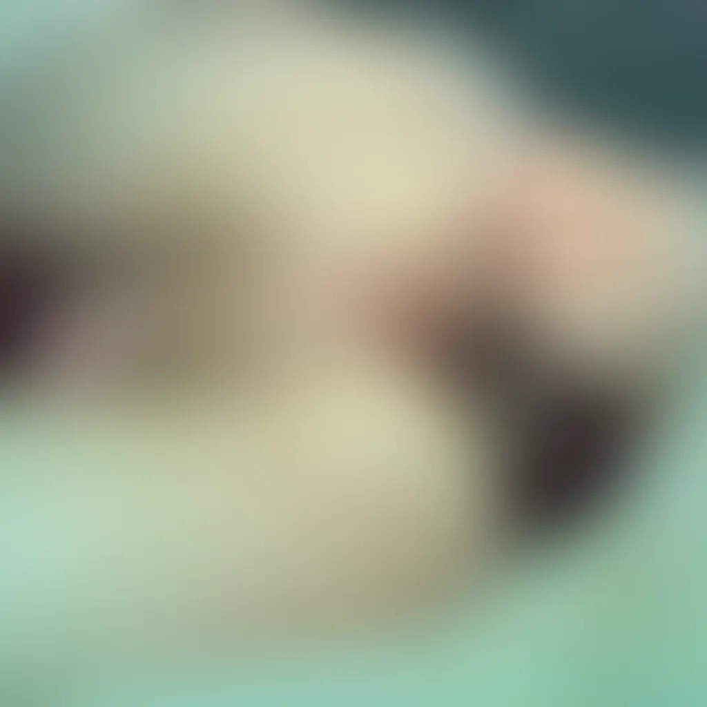 Slide image 2