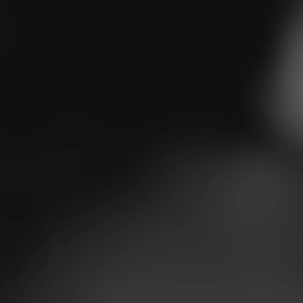 Slide image 1