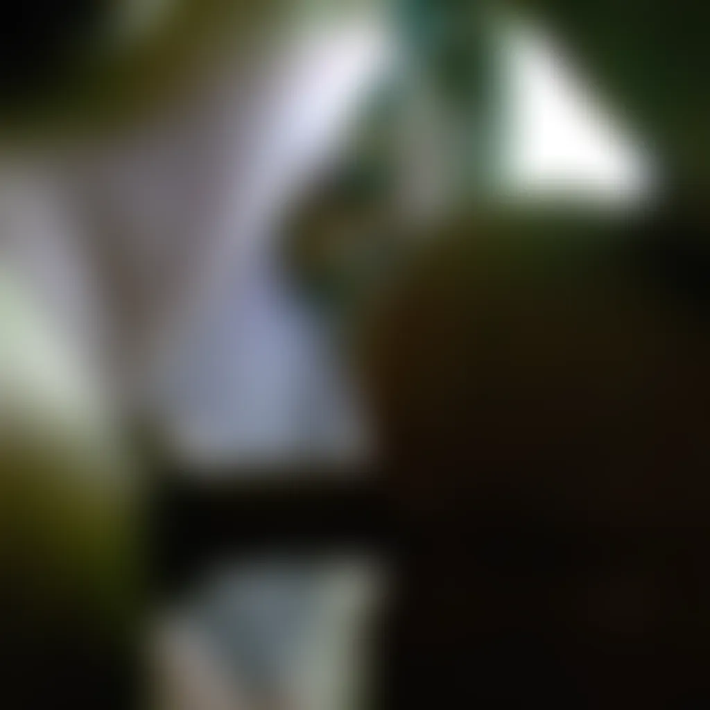 Slide image 3