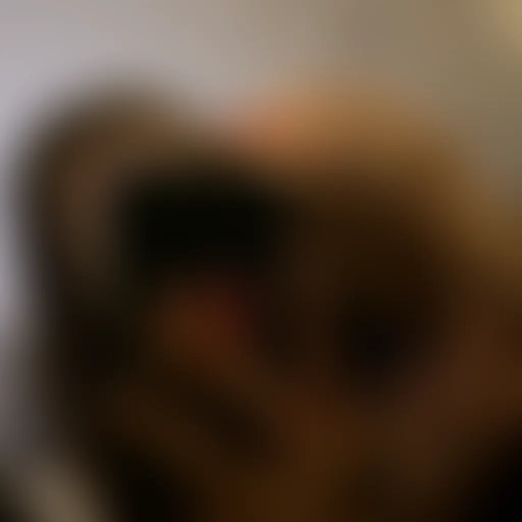 Slide image 1