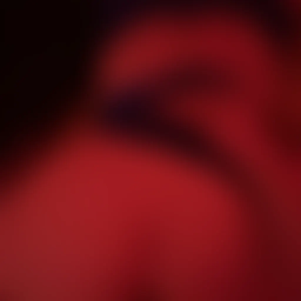 Slide image 11
