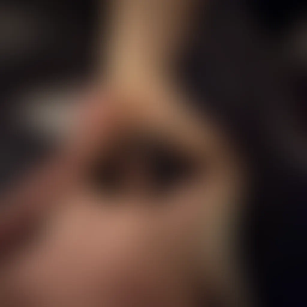 Slide image 6